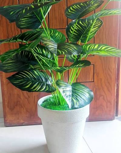 Decorative Artificial Plants